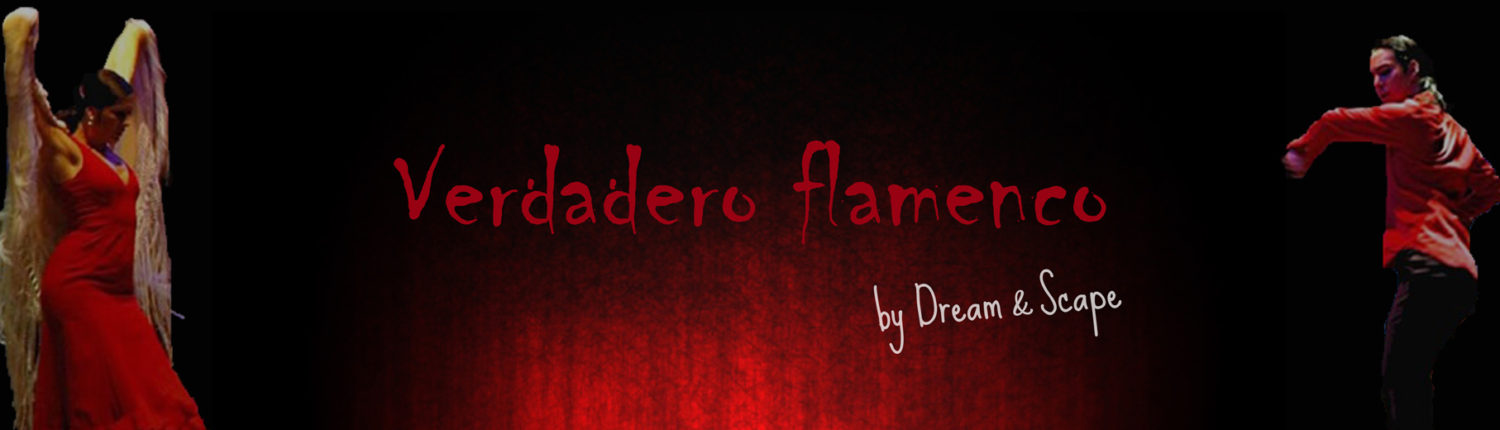 Verdado Flamenco spectacle artistique